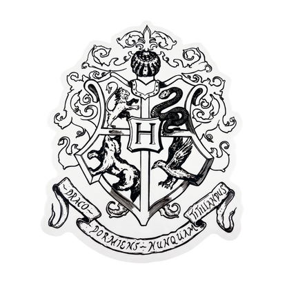 Espejo grabado con el escudo del colegio de magia